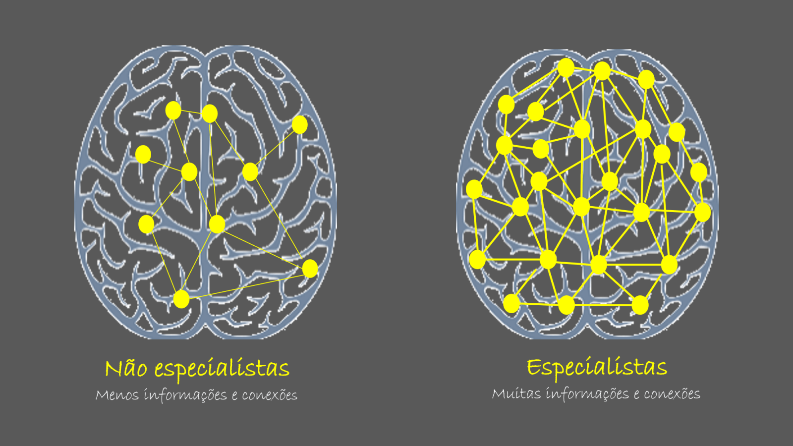 Neurociência E Aprendizagem ⋆ Colaborae 1893