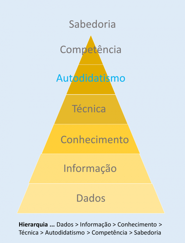 dados_informacao_conhecimento_tecnica_autodidatismo_competencia_sabedoria