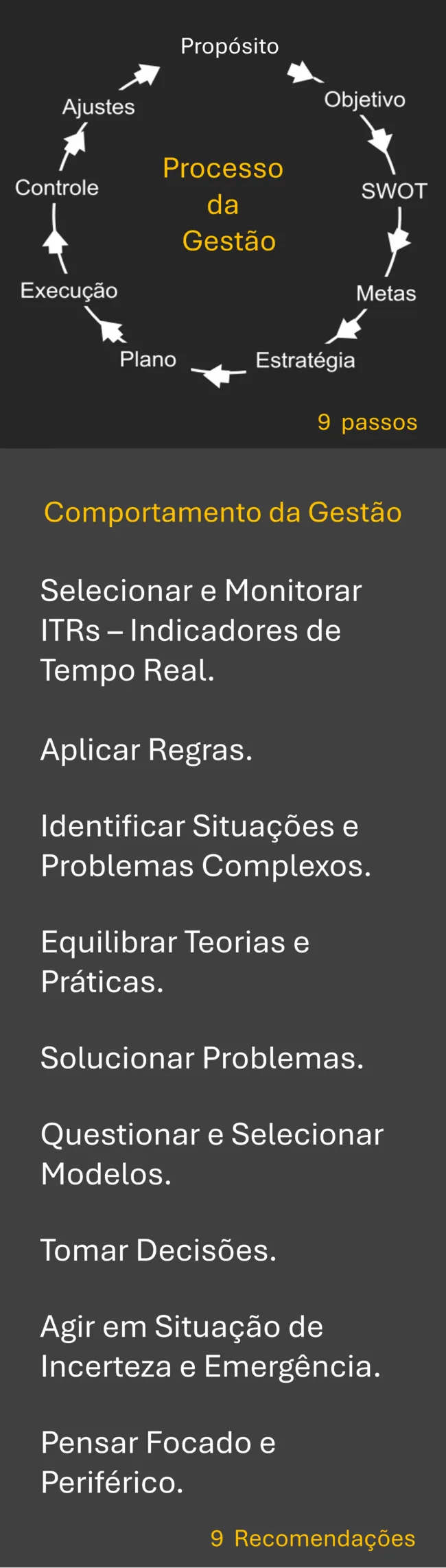 passos_recomendacoes_processo_de_gestao-1