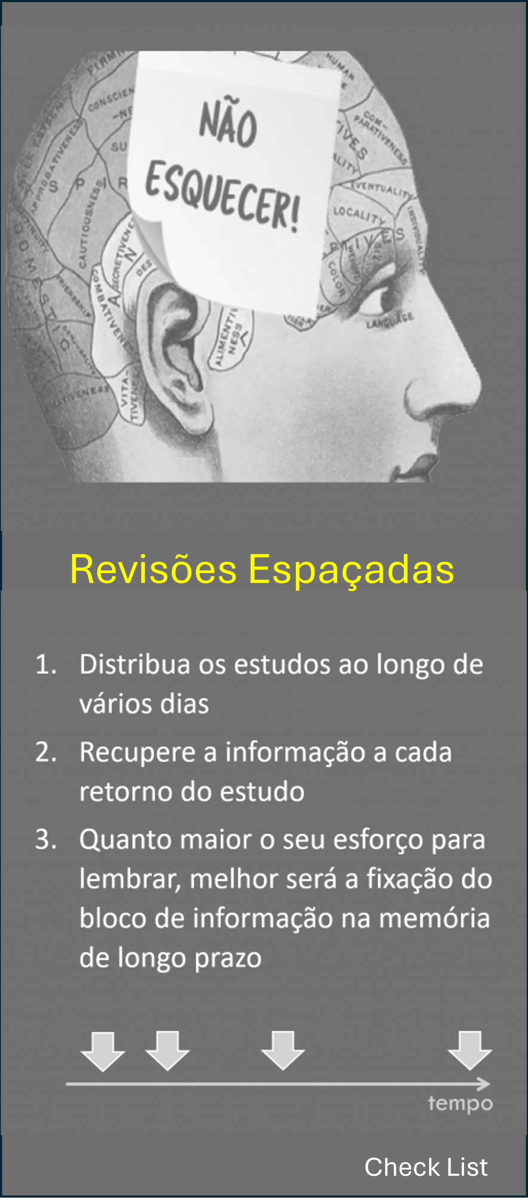 revisoes_espacadas